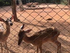 -海南热带野生动植物园