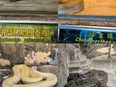 -沈阳森林动物园