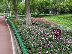 -宣武艺园