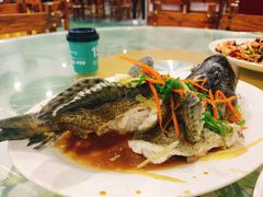 清蒸龙胆石斑鱼-四姑娘川味海鲜(八爪鱼店)
