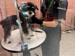 -FAELING PETS美天灵宠物(合生汇店)