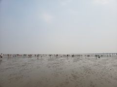 -南汇嘴观海公园