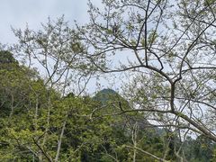-广西龙虎山风景区