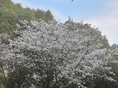 -东南大学(九龙湖校区)