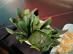 幼苗笨菠菜-大隐·成都火锅Bistro(合生麒麟新天地店)