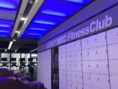 -金吉鸟健身游泳