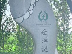 -白洋淀景区