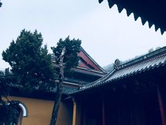 -普陀山风景名胜区-法雨禅寺