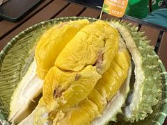 -榴莲BB 四季果园