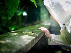 四季京味烤鸭店(农林下路店)-四季小馆·地道北京小吃(广百店)