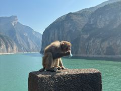 -白帝城·瞿塘峡景区