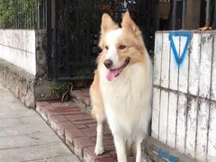 -豆舞咖啡(民乐路店)