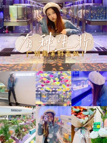 女生进去就出不来的大自然超市