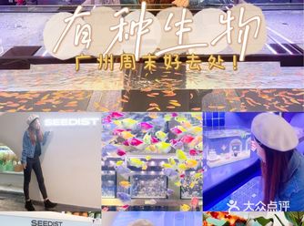 女生进去就出不来的大自然超市