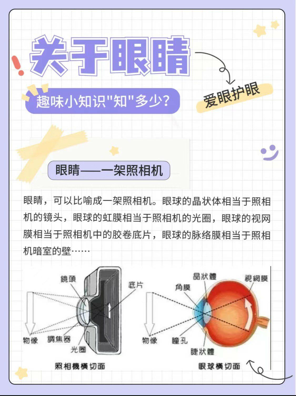 ?眼睛是精密的照相机?