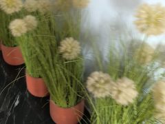 -唐宫足道·SPA·住宿24H会所(木渎店)