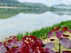 -水濂山水库景点停车场