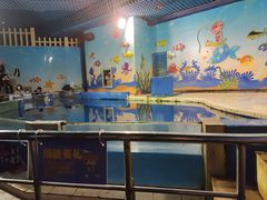 -太平洋海底世界