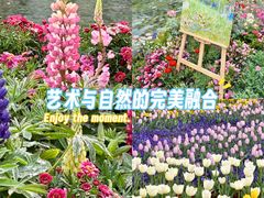 -苏州上方山国家森林公园