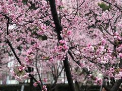 -静安雕塑公园