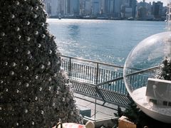 -海港城