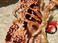 -强记海鲜·大排档(蛇口新街店)