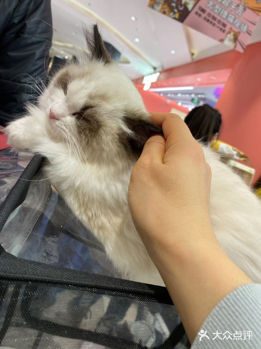 天虹购物中心(石路店)图片