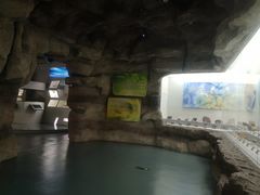 -甘肃地质博物馆