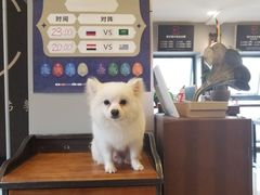 -肆兮眼镜·蔡司·徕卡战略合作店(大坪店)