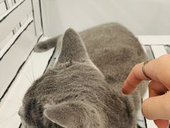 -白夜2D咖啡馆