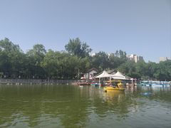 -莲湖公园