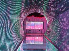 -正佳自然科学博物馆