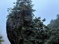 -秦岭天竺山景区