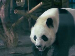 -泉州海丝野生动物世界