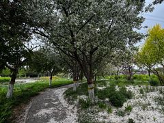 -石家庄市植物园