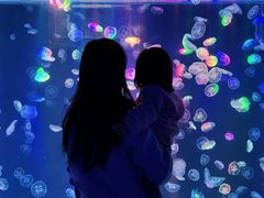 -海合安成都极地海洋公园