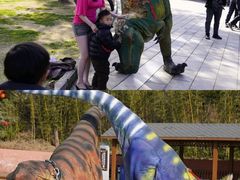 -中国西峡恐龙遗迹园