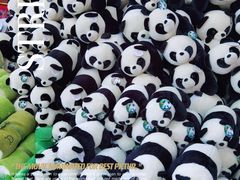 -熊猫屋(宽窄巷子景区店)