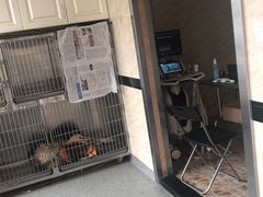 -安安宠医·安宠宠物医院