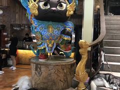 -more than meow吴止猫主题餐厅(承德 中船汇店)