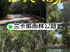 -瓜镇夜市