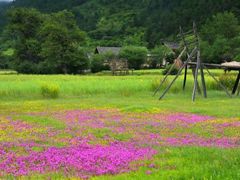 -天鹅湖生态旅游风景区