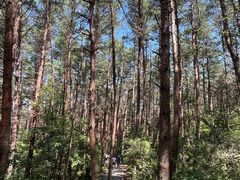 -帽儿山国家森林公园