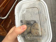 麻糍-叶氏麻糍(鼓浪屿店)