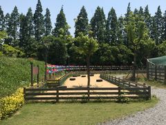 -前小桔亲子创意农场·草莓采摘·露营烧烤