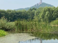 -北坞公园