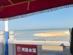 -日照海滨国家森林公园