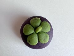 -北京稻香村(零号店)