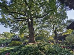 -惠山古镇·寄畅园