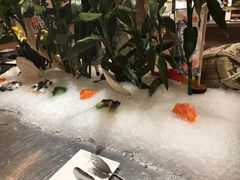 三文鱼-北京王府井希尔顿酒店·万斯阁西餐厅